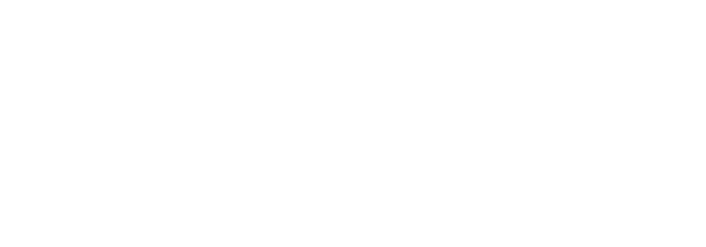 Ostro logo