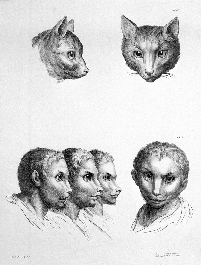111118 52 Art History Evolution