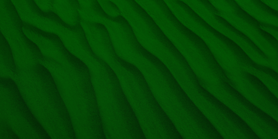 Untitled design (11)