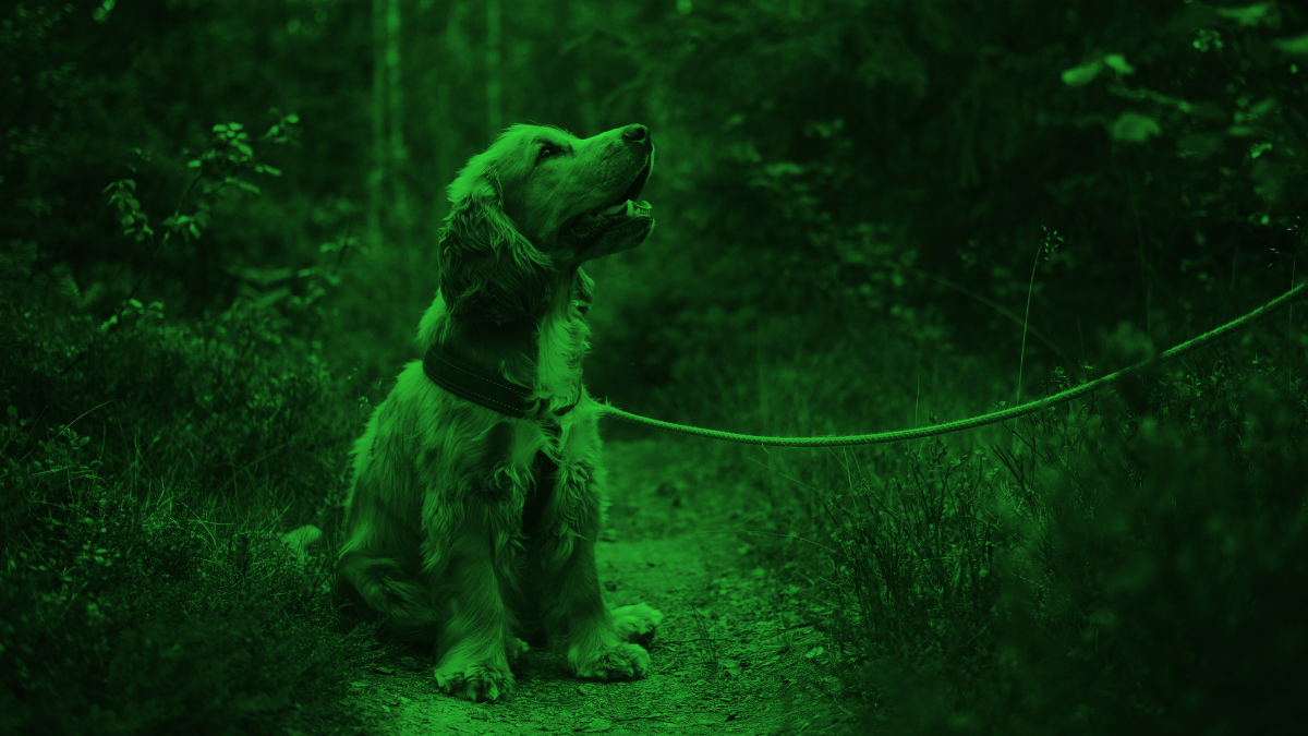 Genetika prieštarauja bet kokioms pastangoms aiškiai apibrėžti rases ir lytis - Skeptikų draugija - 4