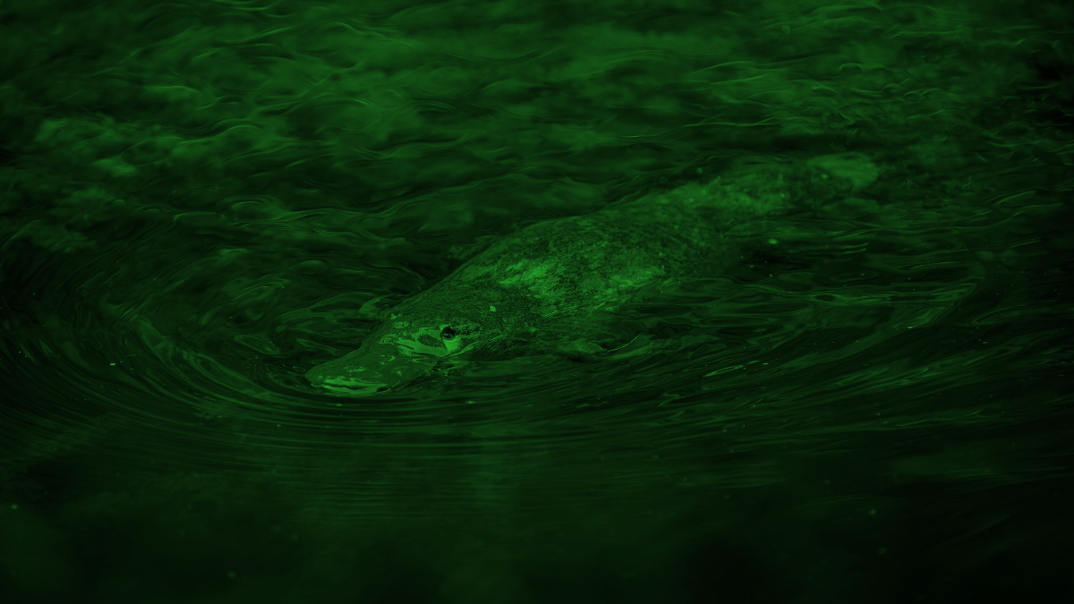 Išmeskime lyties ideologiją iš biologijos! - Straipsnis - Skeptikų draugija 5