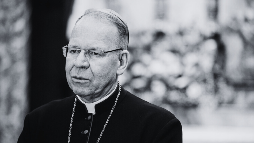 WORDPRESS preview pics (57)