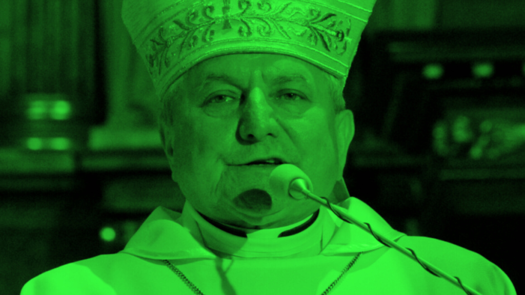 WORDPRESS preview pics (63)