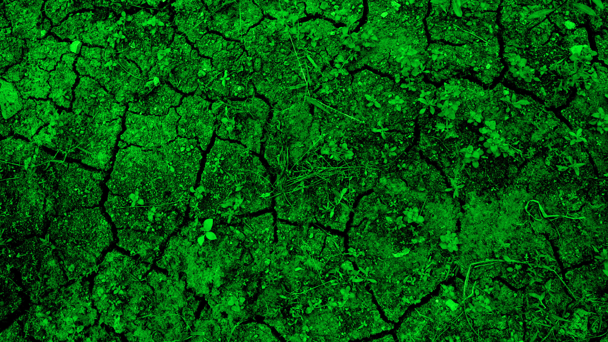 Humanisto atsakas į autoritarizmą Straipsnis Skeptikų draugija (2)