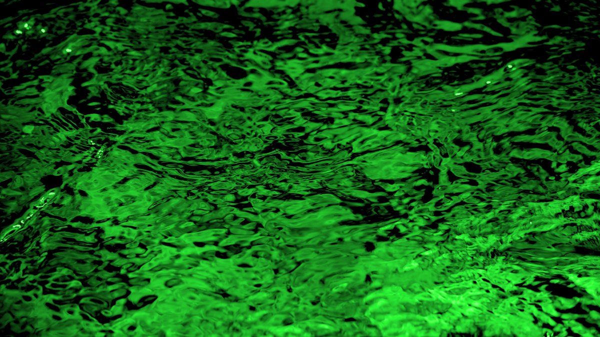 „Tiesioginės patirties klaida“ psichodelikų tyrimuose: ketamino ir MDMA vertinimas - Peter Barglow - Straipsnis - Skeptikų draugija 2